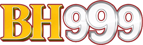bdbh999.net Logo